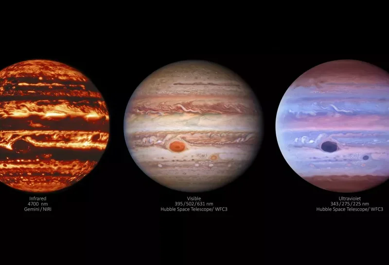 Preview of Curiosities gallery